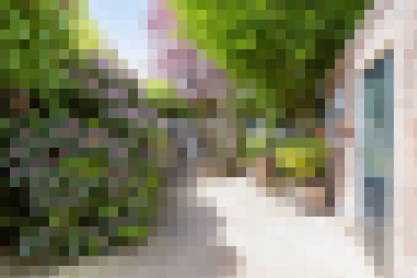 Bakelsedijk 60 Helmond thumbnail 30