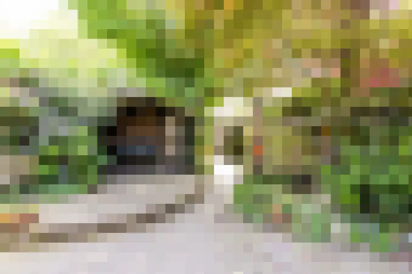 Bakelsedijk 60 Helmond thumbnail 33