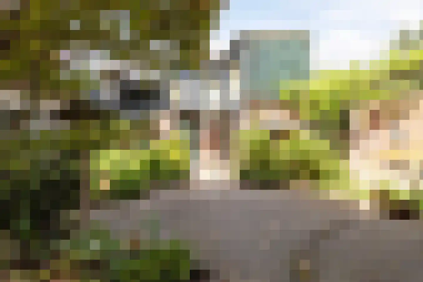 Bakelsedijk 60 Helmond thumbnail 35