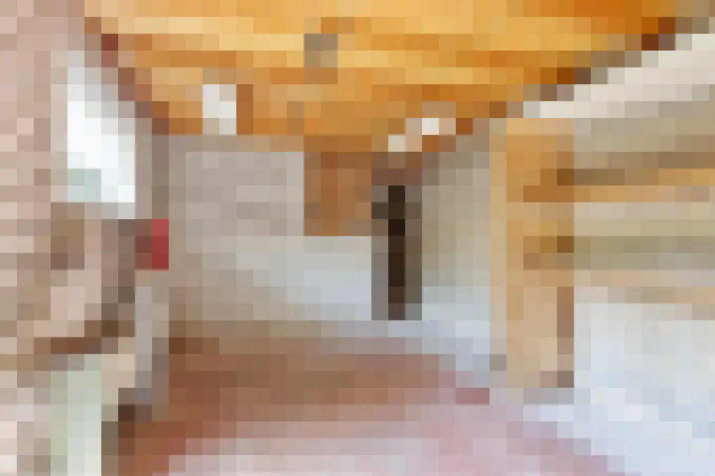 Bakelsedijk 60 Helmond thumbnail 37