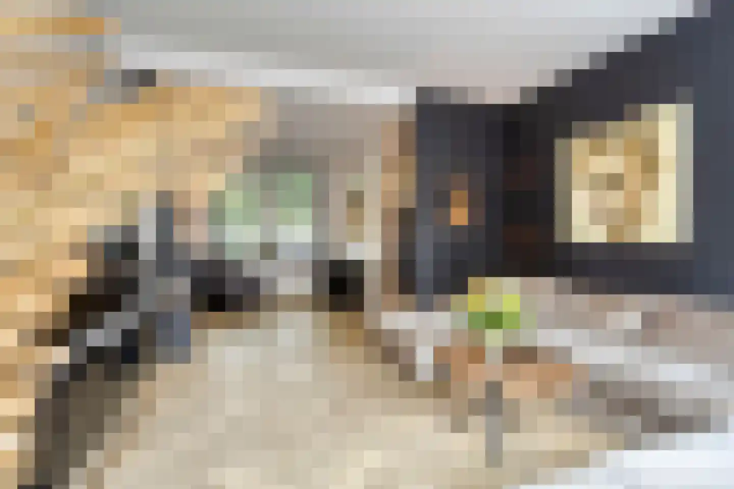Bakelsedijk 8 Helmond thumbnail 12