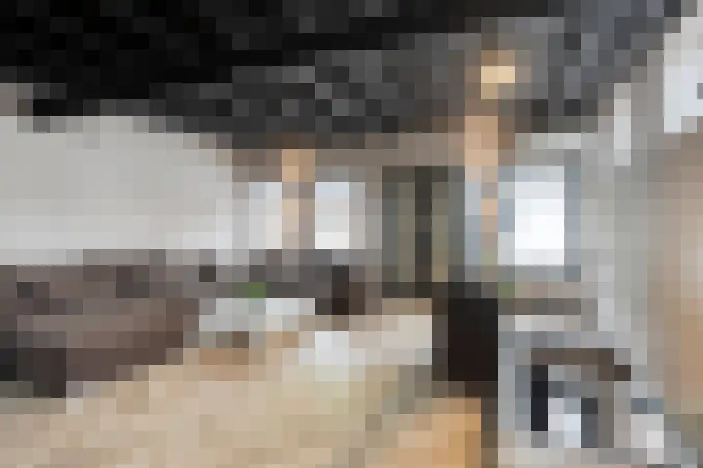 Bakelsedijk 8 Helmond thumbnail 47