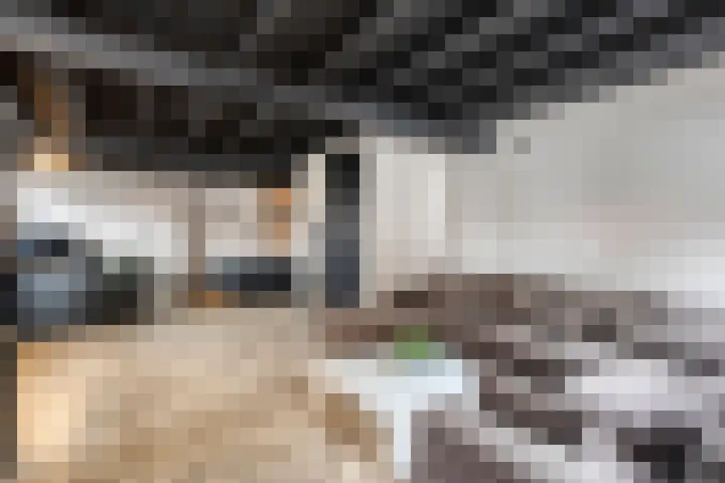 Bakelsedijk 8 Helmond thumbnail 5