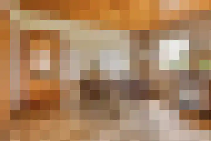Bakelseweg 30 De Mortel thumbnail 12
