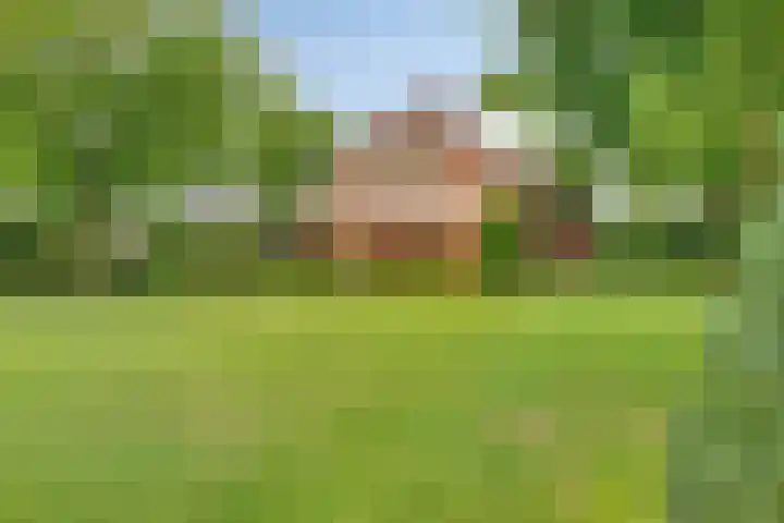 Bakelseweg 30 De Mortel thumbnail 24
