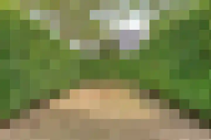 Bakelseweg 30 De Mortel thumbnail 25