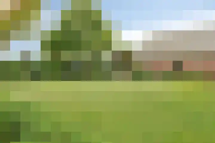 Bakelseweg 30 De Mortel thumbnail 29