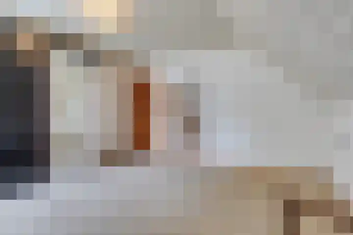 Bakelseweg 30 De Mortel thumbnail 40