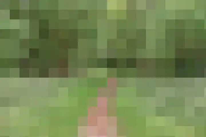 Bakelseweg 30 De Mortel thumbnail 48