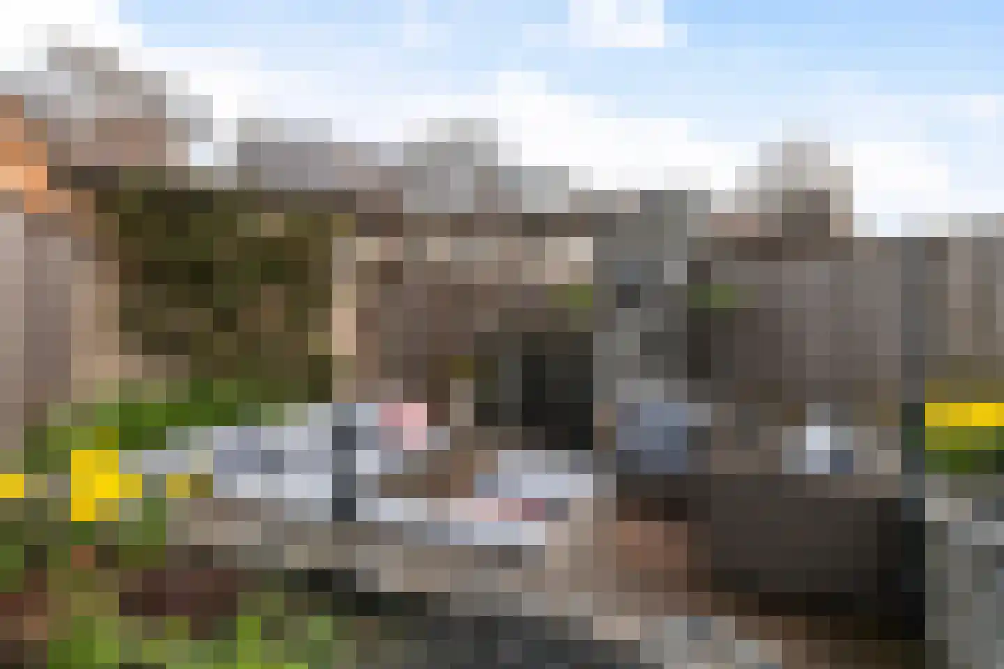Bakema-erf 223 Dordrecht thumbnail 31