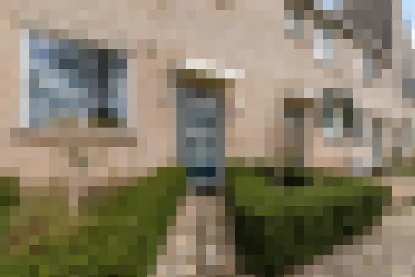 Bakema-erf 223 Dordrecht thumbnail 5