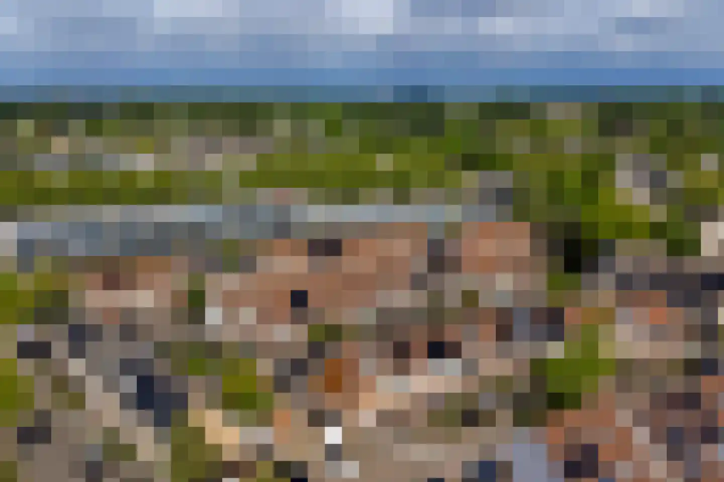 Bakema-erf 287 Dordrecht thumbnail 38