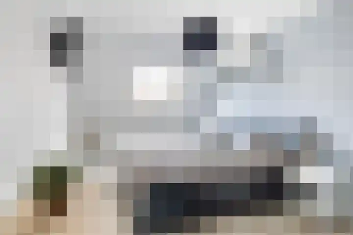 Bakema-erf 288 Dordrecht thumbnail 4