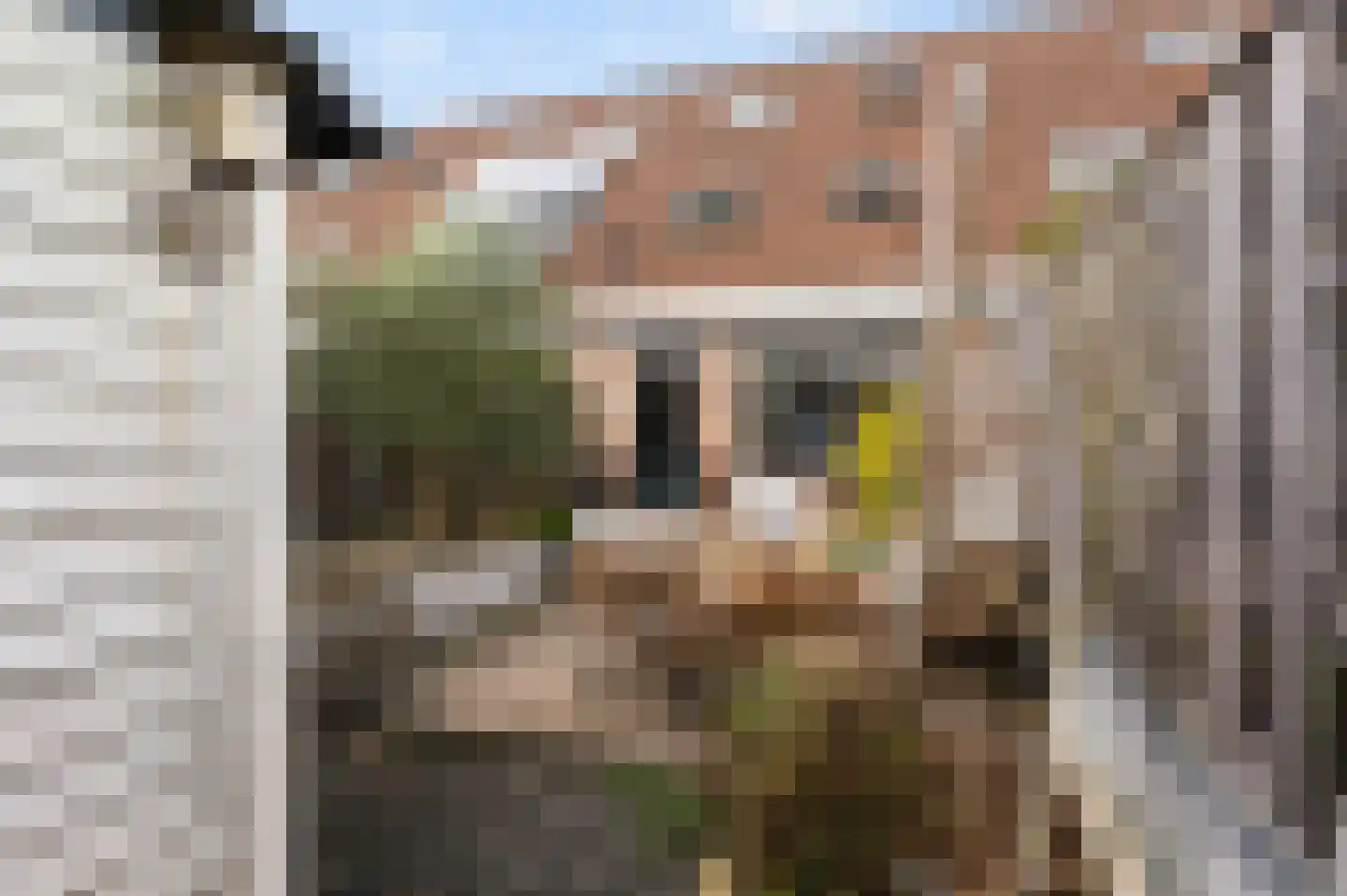 Bakema-erf 303 Dordrecht thumbnail 20