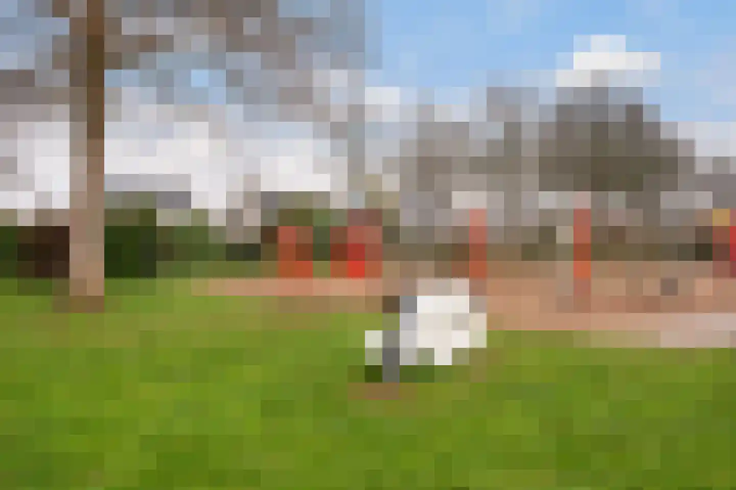 Bakema-erf 303 Dordrecht thumbnail 37