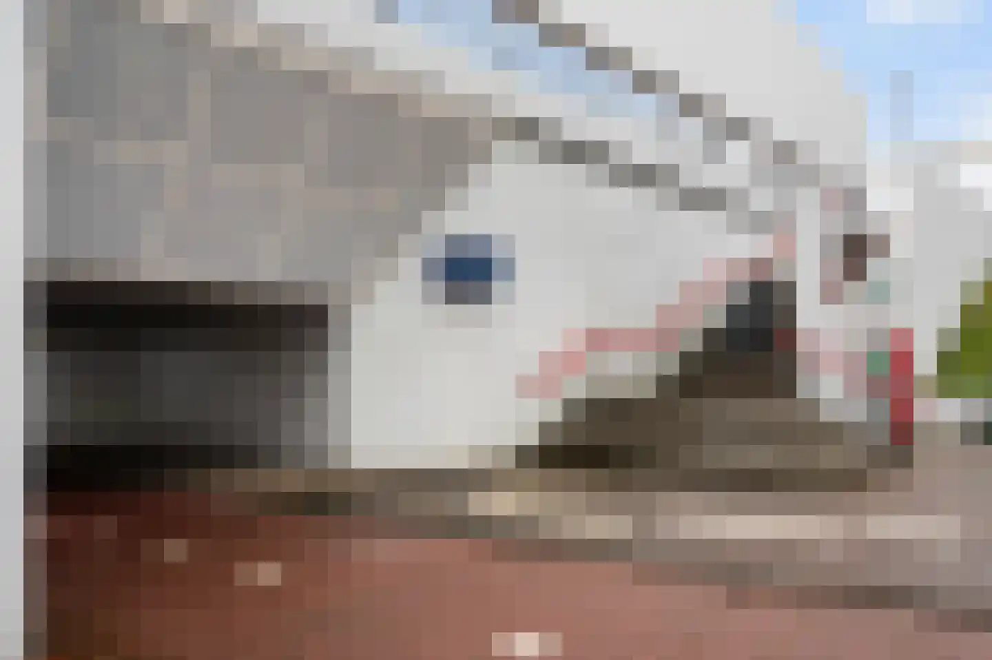 Bakema-erf 303 Dordrecht thumbnail 41