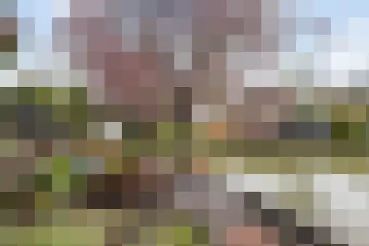 Bakema-erf 66 Dordrecht thumbnail 24