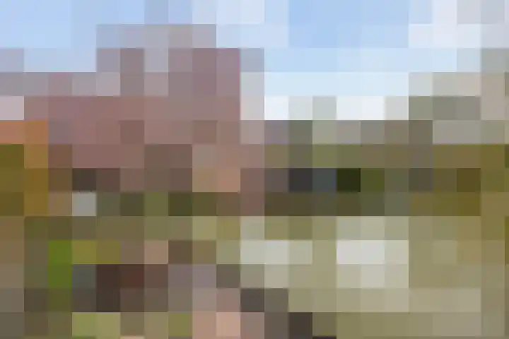 Bakema-erf 66 Dordrecht thumbnail 4