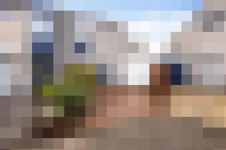 Bakema-erf 66 Dordrecht thumbnail 6