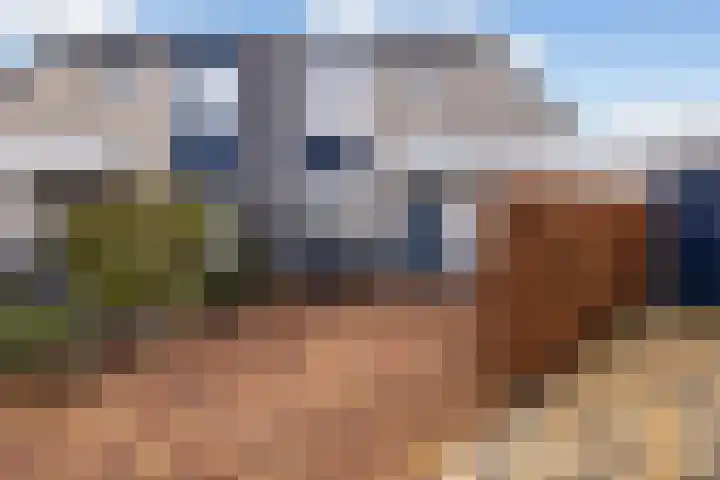 Bakema-erf 66 Dordrecht thumbnail 7