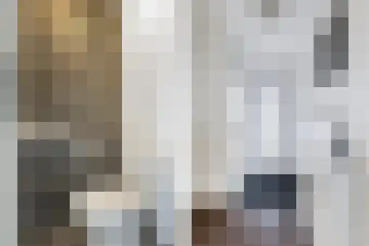 Bakema-erf 66 Dordrecht thumbnail 8