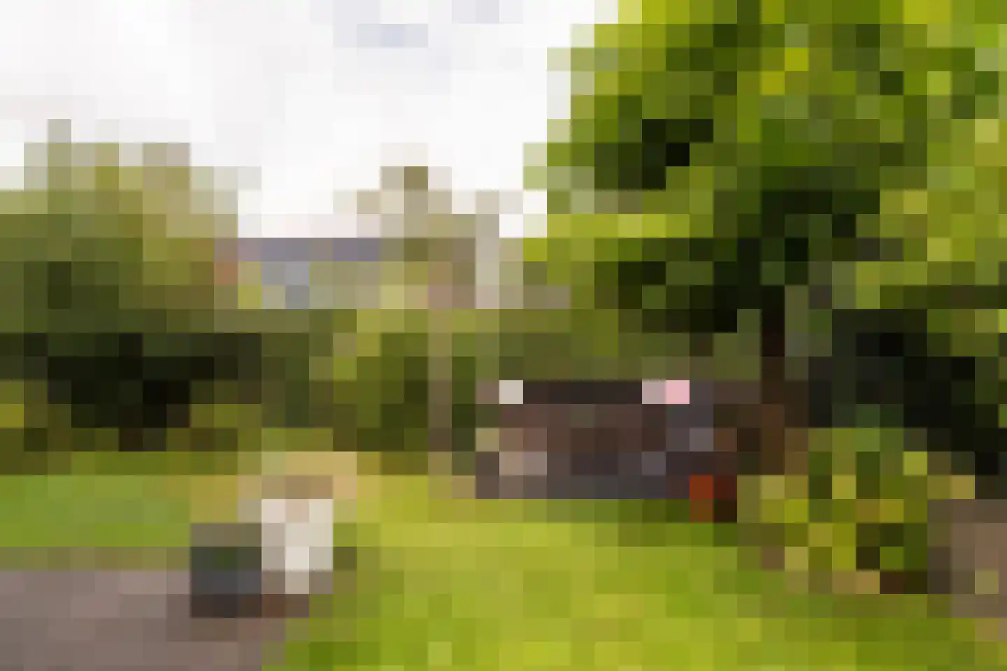 Bakemastraat 18 Utrecht thumbnail 16