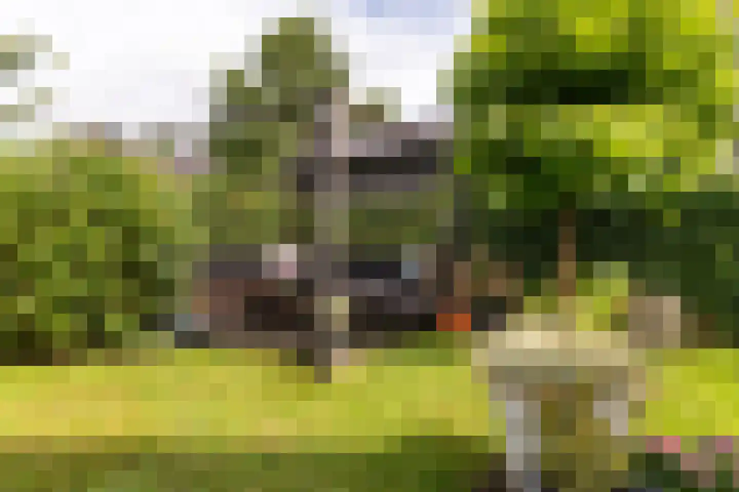 Bakemastraat 18 Utrecht thumbnail 19