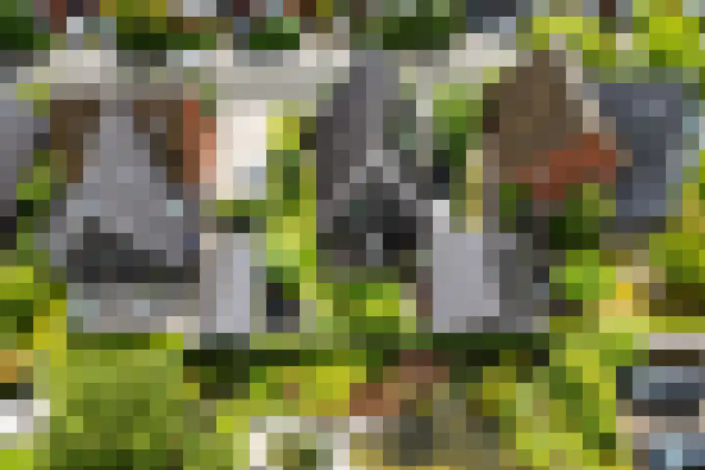 Bakemastraat 18 Utrecht thumbnail 42