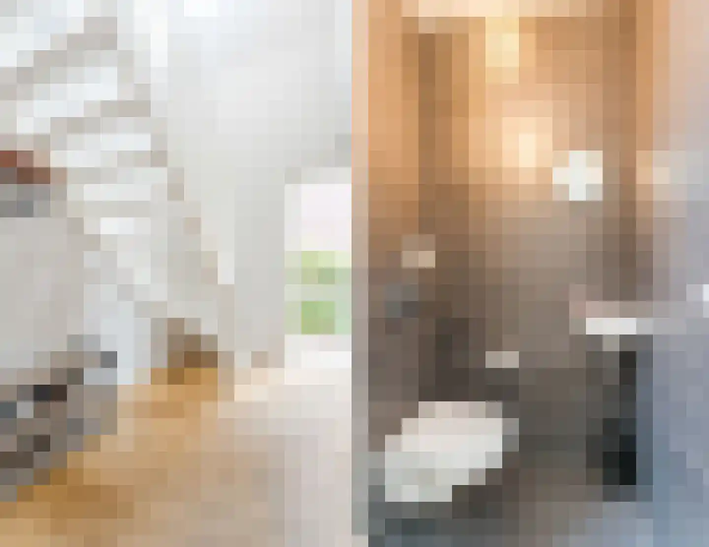 Bakemastraat 48 Utrecht thumbnail 11