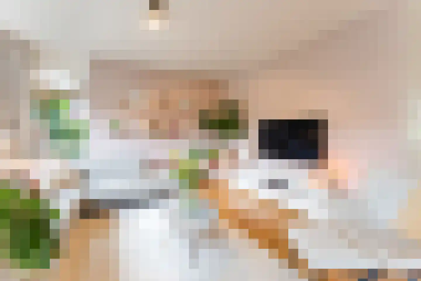 Bakemastraat 48 Utrecht thumbnail 12