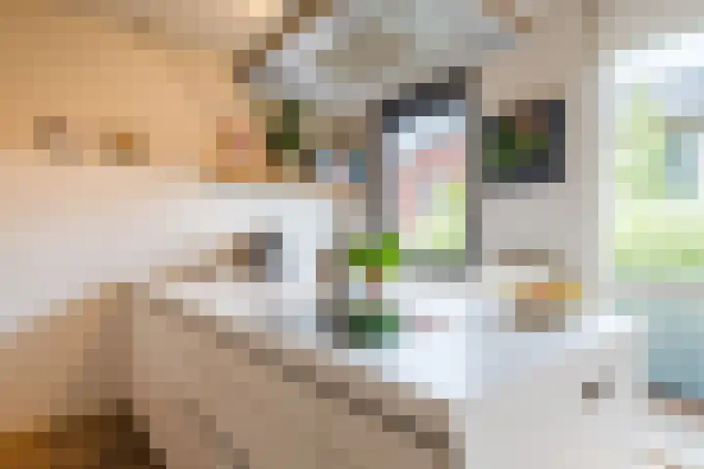 Bakemastraat 48 Utrecht thumbnail 23