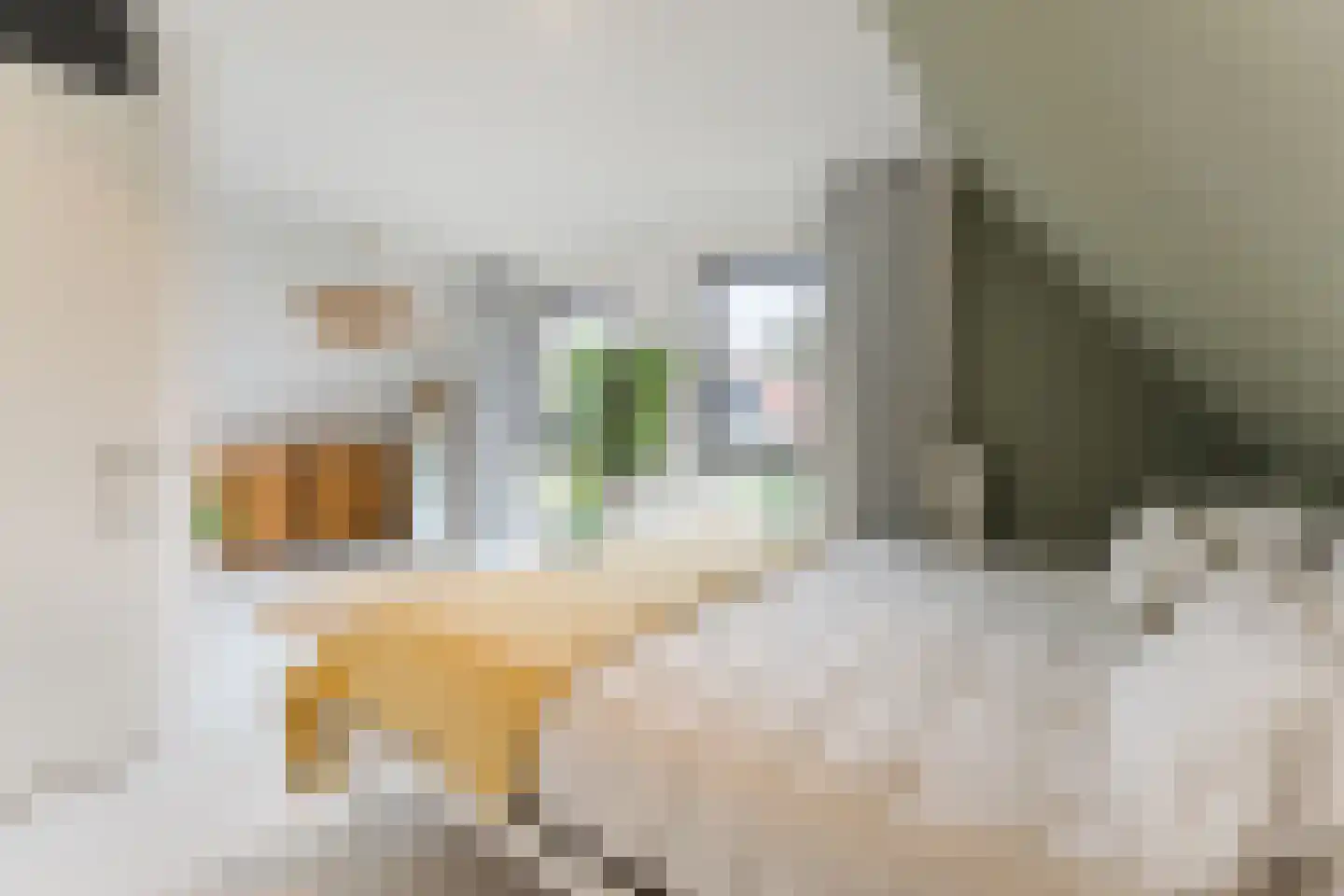 Bakemastraat 48 Utrecht thumbnail 32