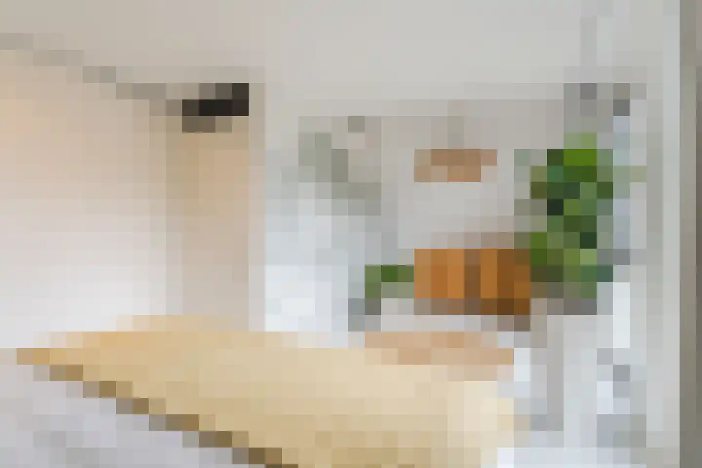 Bakemastraat 48 Utrecht thumbnail 34