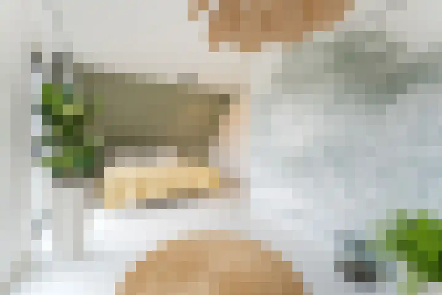 Bakemastraat 48 Utrecht thumbnail 36