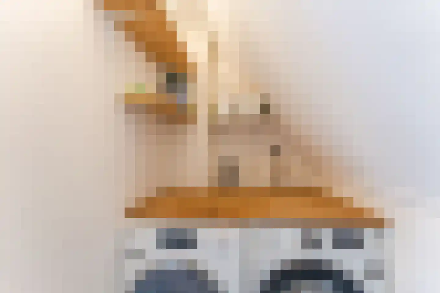 Bakemastraat 48 Utrecht thumbnail 45