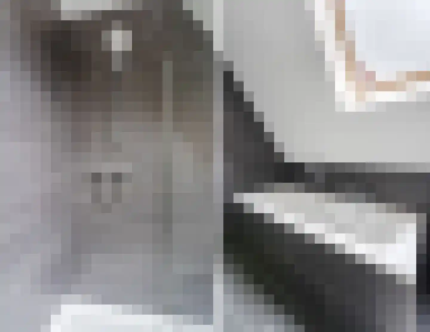 Bakemastraat 48 Utrecht thumbnail 48