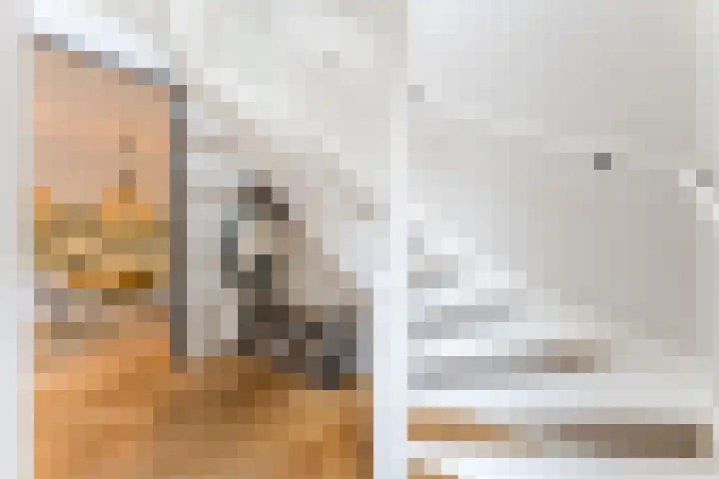 Bakemastraat 48 Utrecht thumbnail 9