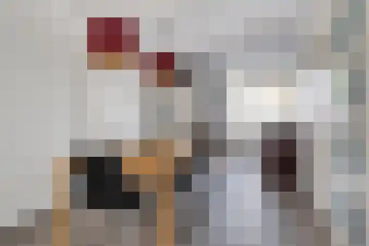 Bakemastraat 7 Groningen thumbnail 11