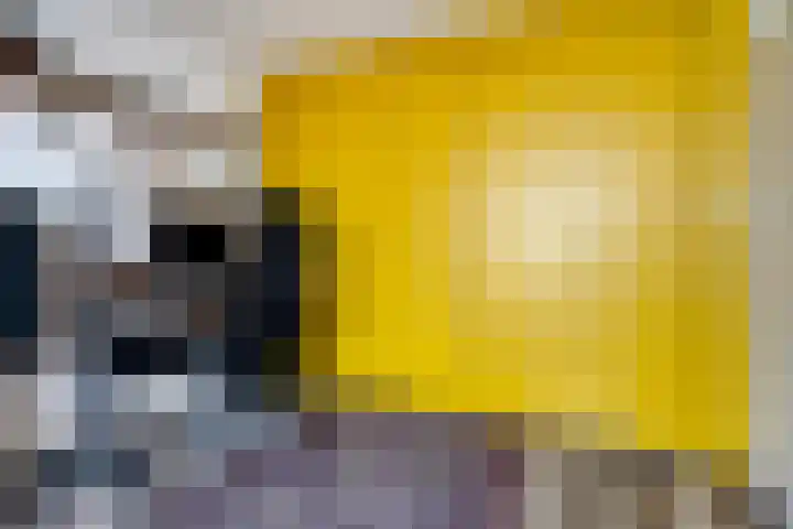 Bakemastraat 7 Groningen thumbnail 29