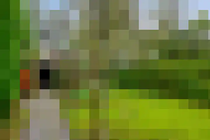Bakemastraat 7 Groningen thumbnail 34