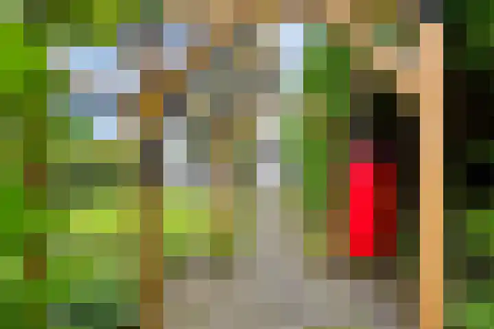Bakemastraat 7 Groningen thumbnail 35