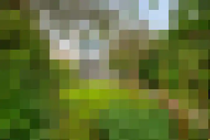 Bakemastraat 7 Groningen thumbnail 36