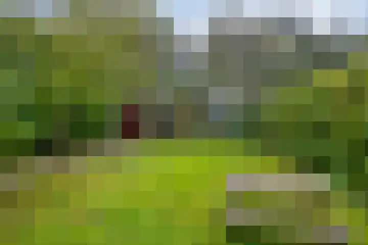 Bakemastraat 7 Groningen thumbnail 4