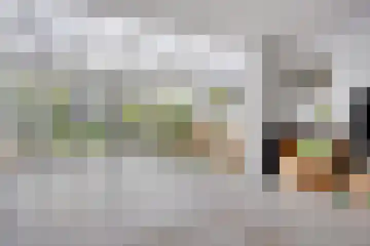 Bakemastraat 7 Groningen thumbnail 8