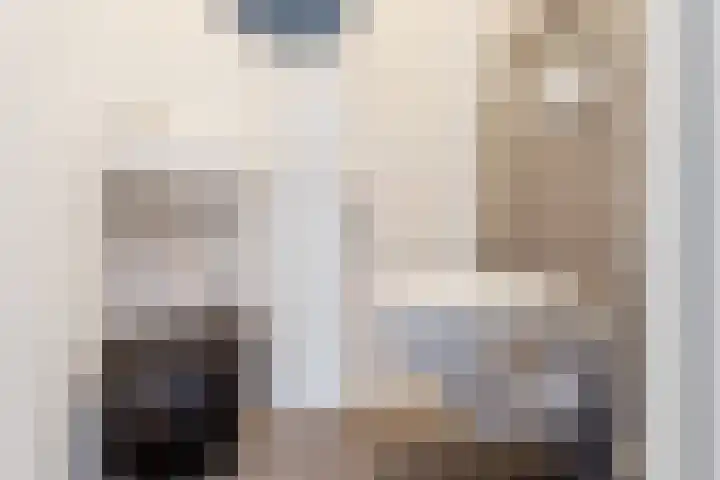 Bakemastraat 8 Utrecht thumbnail 17