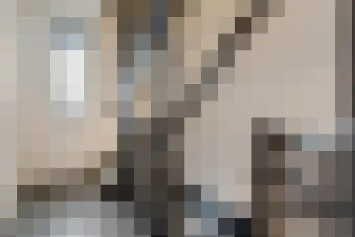 Bakemastraat 8 Utrecht thumbnail 18