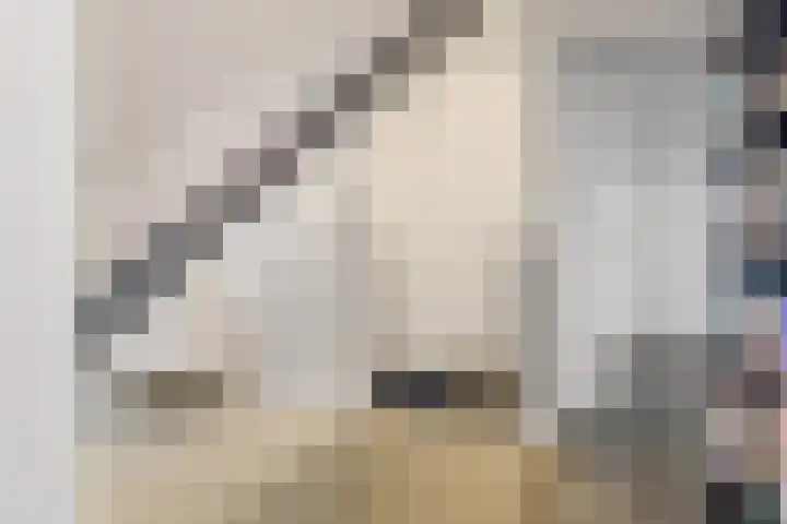 Bakemastraat 8 Utrecht thumbnail 20