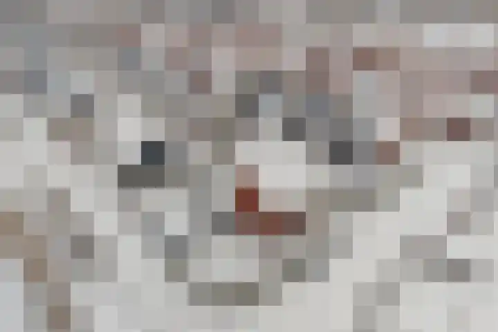 Bakemastraat 8 Utrecht thumbnail 35
