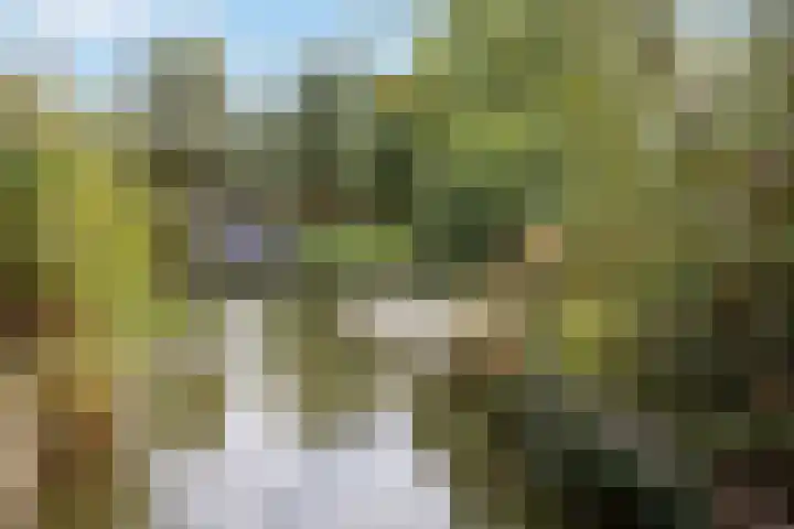 Bakemastraat 8 Utrecht thumbnail 38