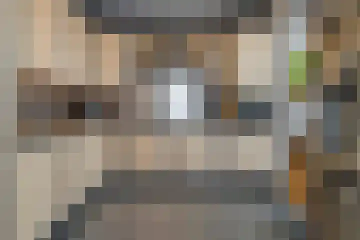 Bakemastraat 8 Utrecht thumbnail 7